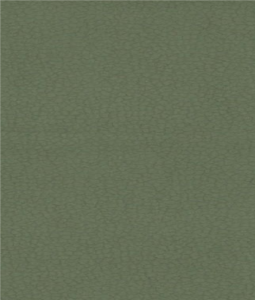 Carabu c/110
