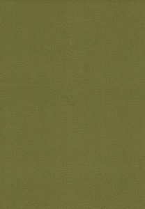 Carabu c/49