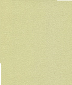 Carabu c/60