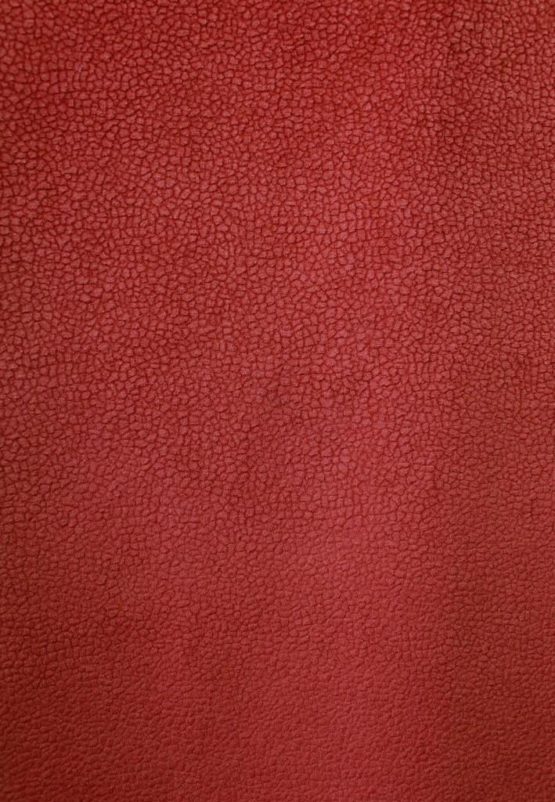 Carabu c/80