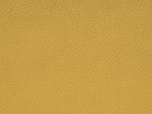 bora terra 25