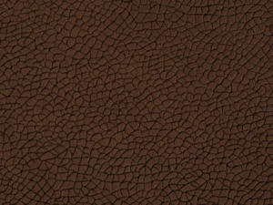 bora terra 84